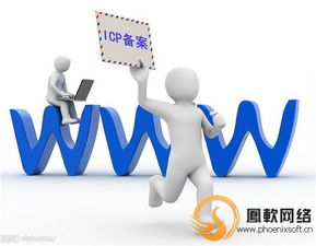 動態(tài)網(wǎng)站建設 鳳軟網(wǎng)絡