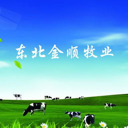 長春做網(wǎng)站公司 網(wǎng)站建設(shè) 網(wǎng)站設(shè)計 微信平臺制作 億人科技13756566613,18946773937,18186893973